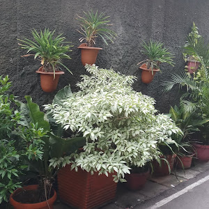 Download Einsichtigkeit For iPhone Free Einsichtigkeit