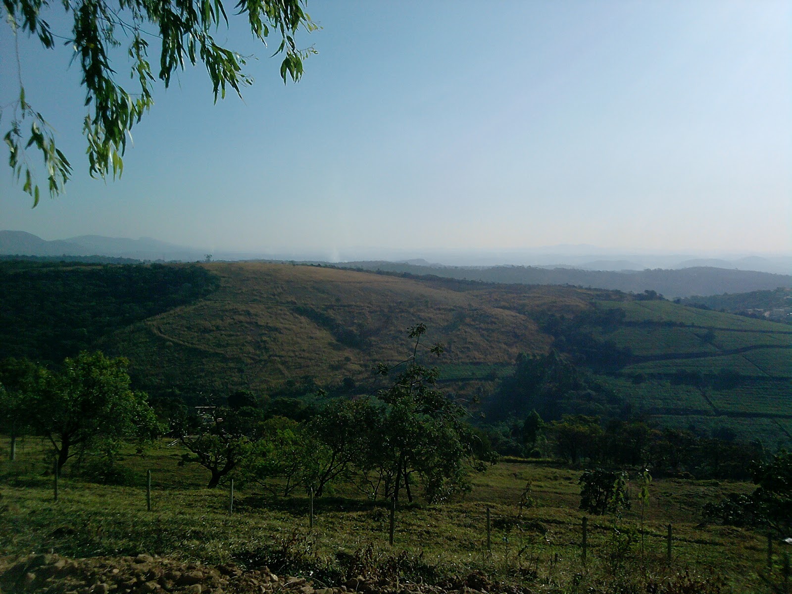 Sarzedo Ecologia: Serra do Rola-Moça
