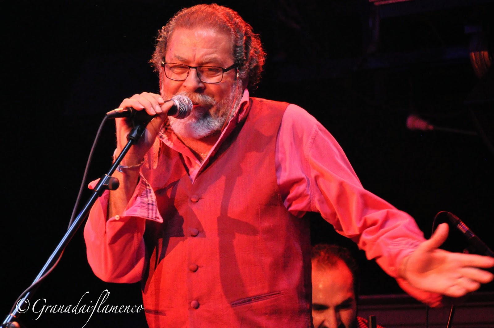 Granadaiflamenco DIEGO CARRASCO EN GRANADA10
