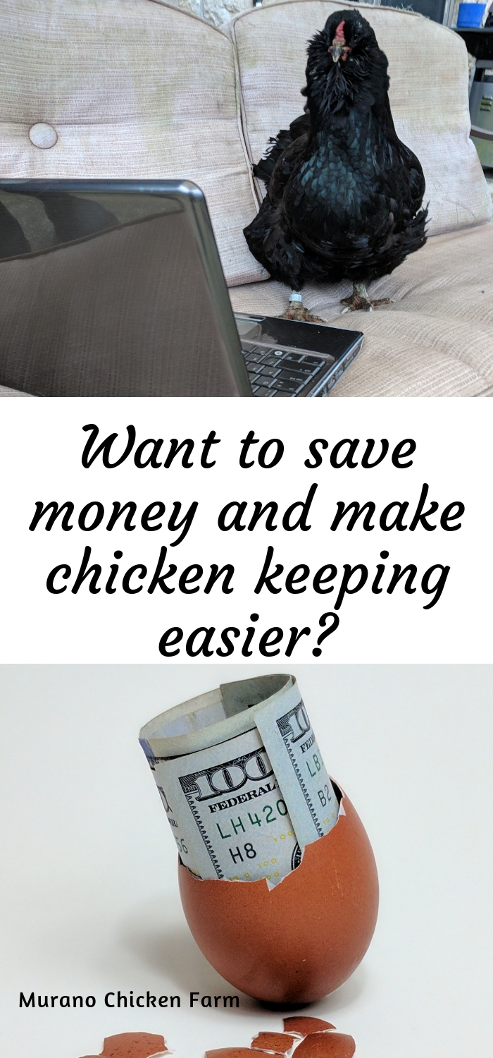 25 Ways to save money on chickens Murano Chicken Farm