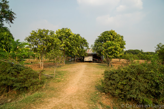 Campagne de Battambang - Cambodge