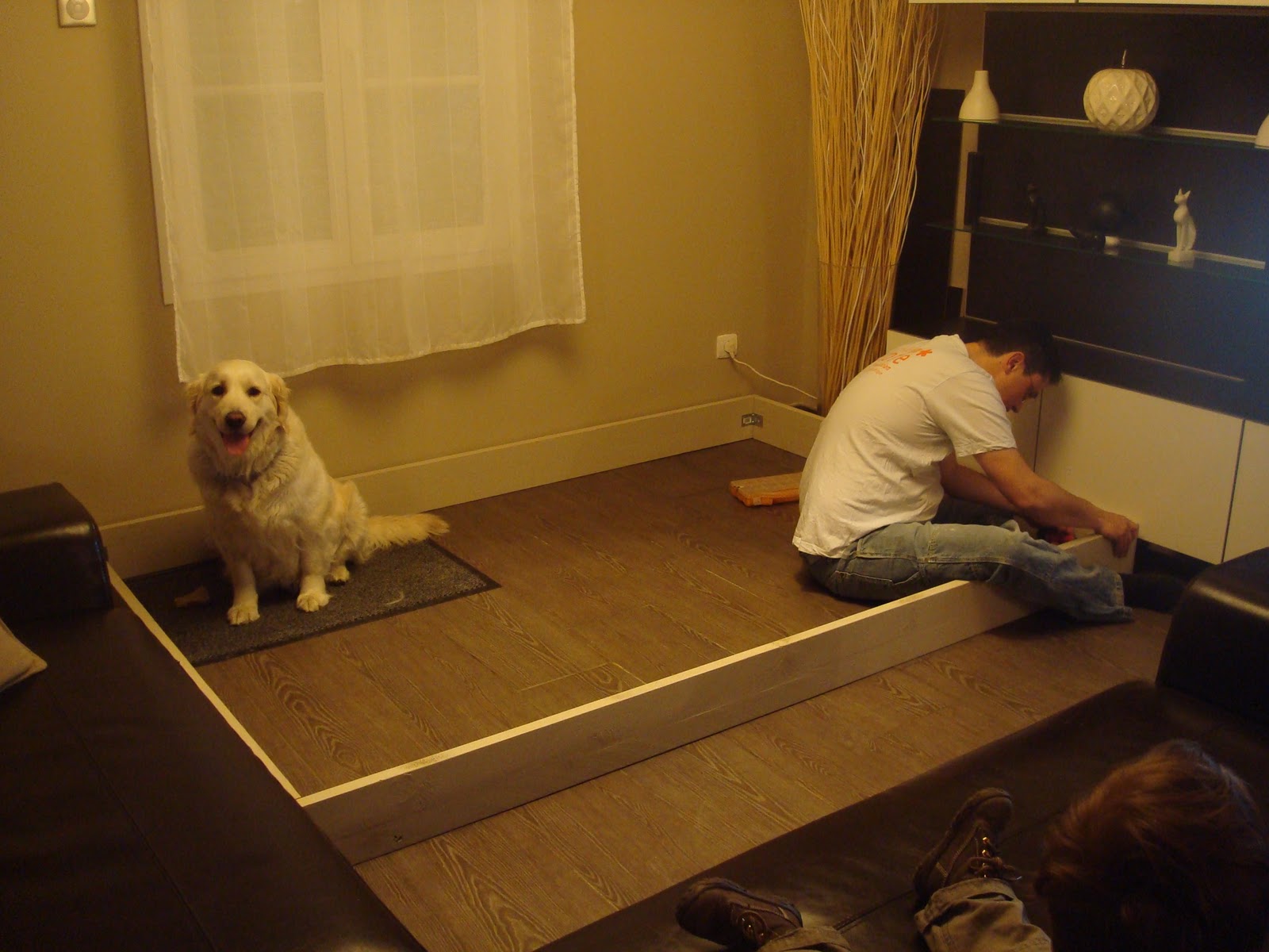 Chiots Golden Retriever de DHARMA & BOBY La caisse de mise bas