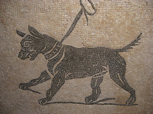 Terrierman s Daily Dose Names For Roman Dogs terrierman-s-daily-dose-names-for-roman-dogs