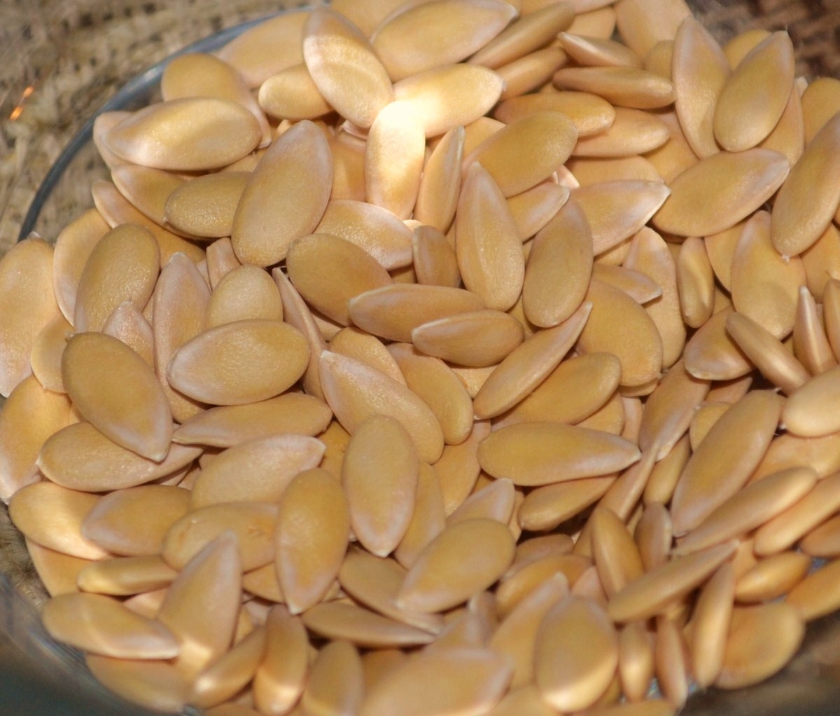 Gardener's Watch August 2012