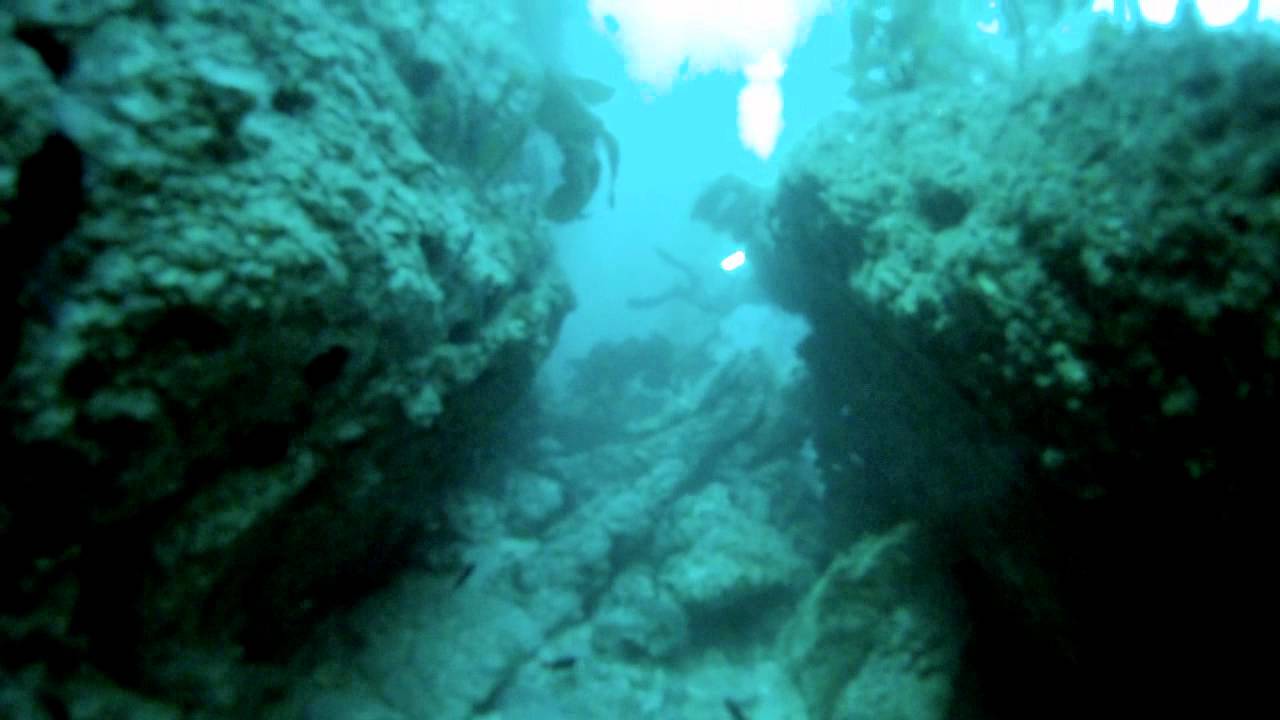 Alternativas para Cuidar el Medio Ambiente BIODIVERSIDAD DE AGUAS PROFUNDAS Alternativas para Cuidar el Medio Ambiente BIODIVERSIDAD DE AGUAS PROFUNDAS