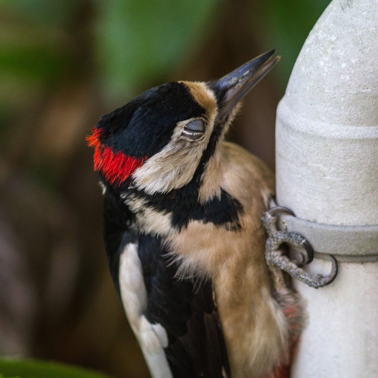 TrogTrogBlog Hors de combat