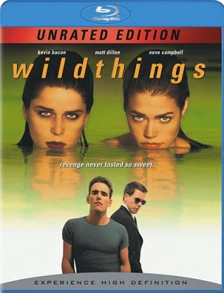 Wild Things 1998 Dual Audio [Hindi Eng] BluRay 480p 300mb