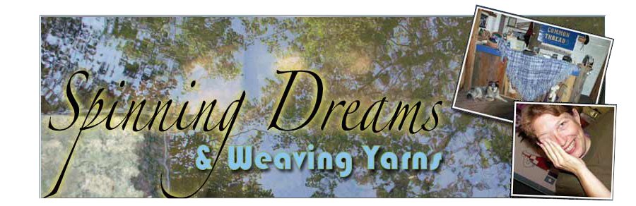 Spinning Dreams and Weaving Yarns