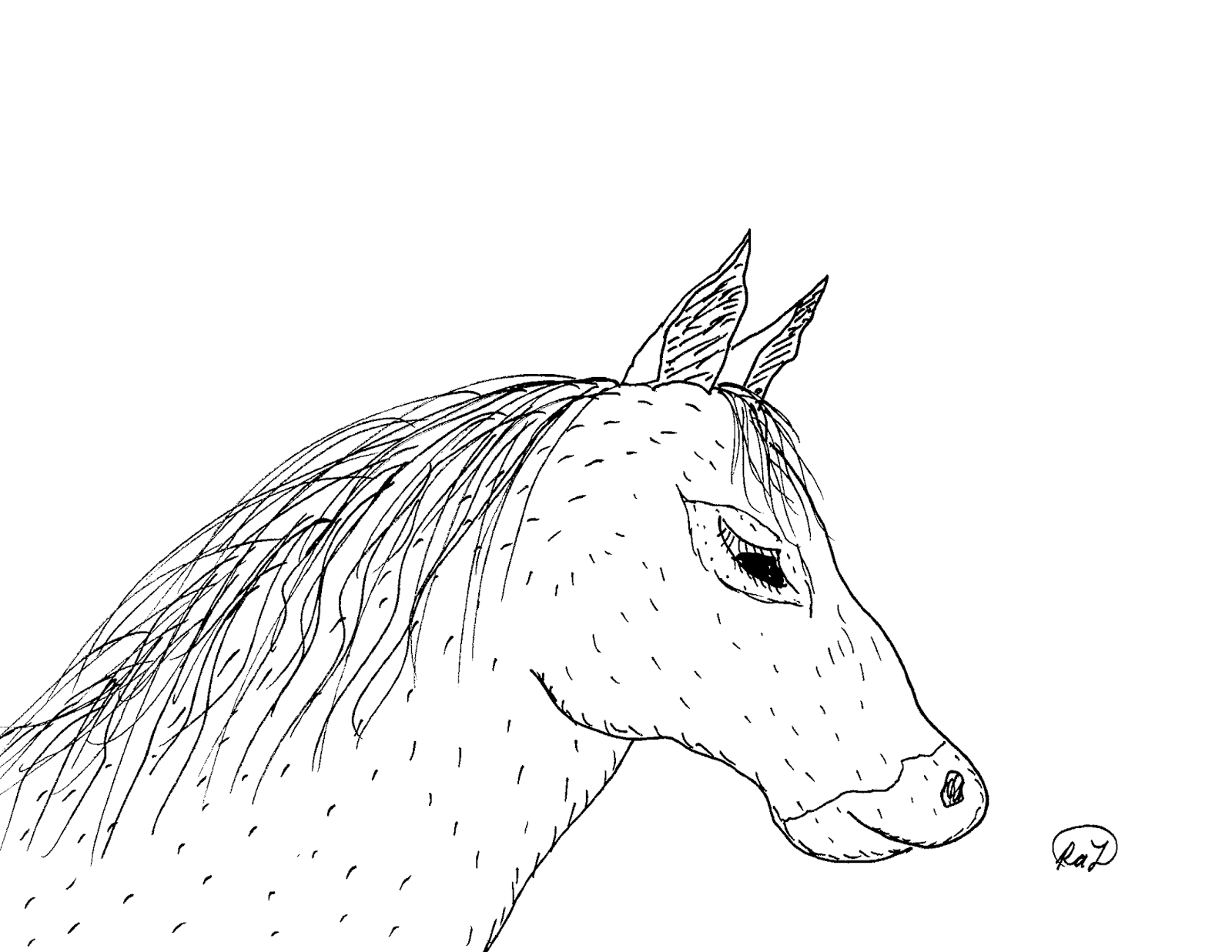 Robin's Great Coloring Pages American Quarter Horse and American Paint