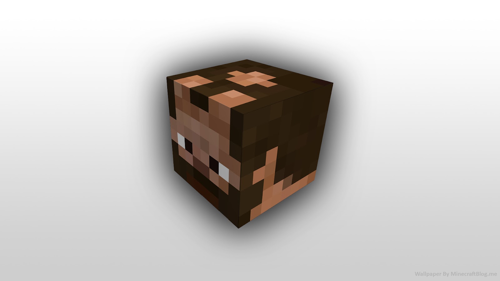 Minecraft Blog Block Head Wallpaper