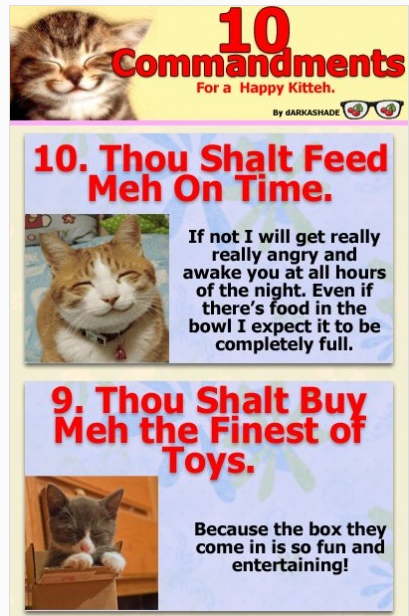 Cat Commandments The (Not so) Fascinating Life of Tabitha: Silly Saturday: The Ten ...