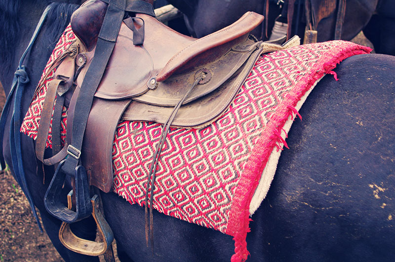 threads and snippets headclearing and western inspiration