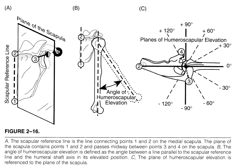 UW Shoulder and Elbow Academy Kinematic analysis of dynamic shoulder motion in patients with