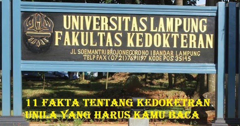11 Fakta Fakultas Kedokteran Unila Yang Harus Kamu Baca Seputarpembahasan Com