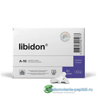 Либидон — пептид предстательной железы