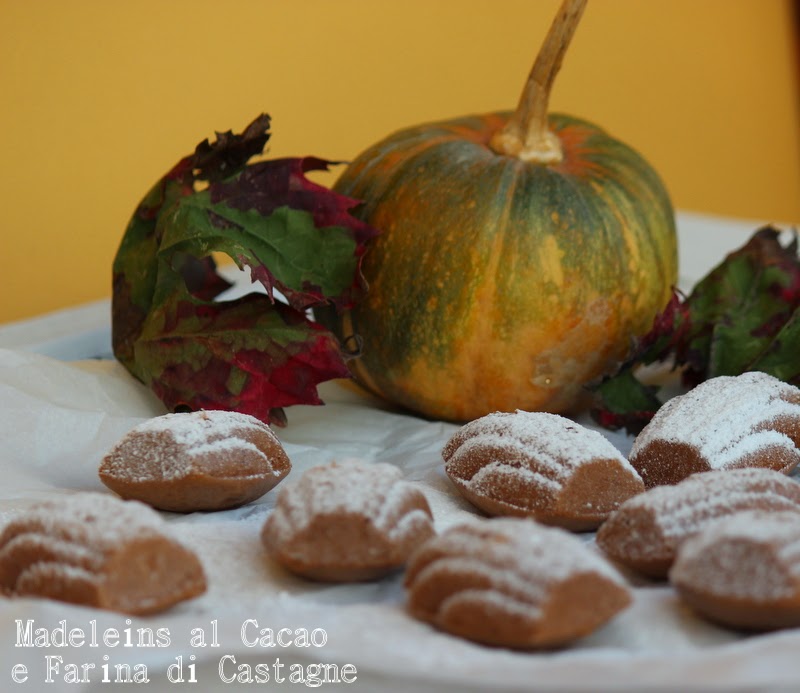 madeleins al cacao e farina di castagne