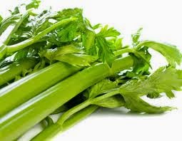 Manfaat Kandungan Senyawa Seledri | Seputar Kesehatan Alami