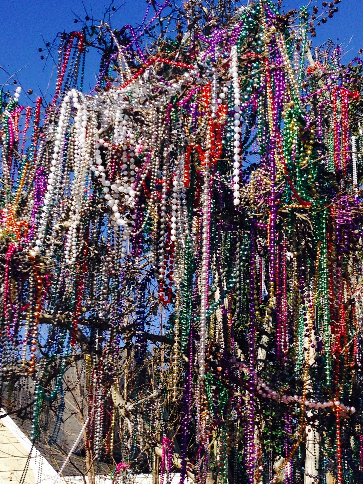 Weird, Wacky and Wild South Mardi Gras beads grow on trees