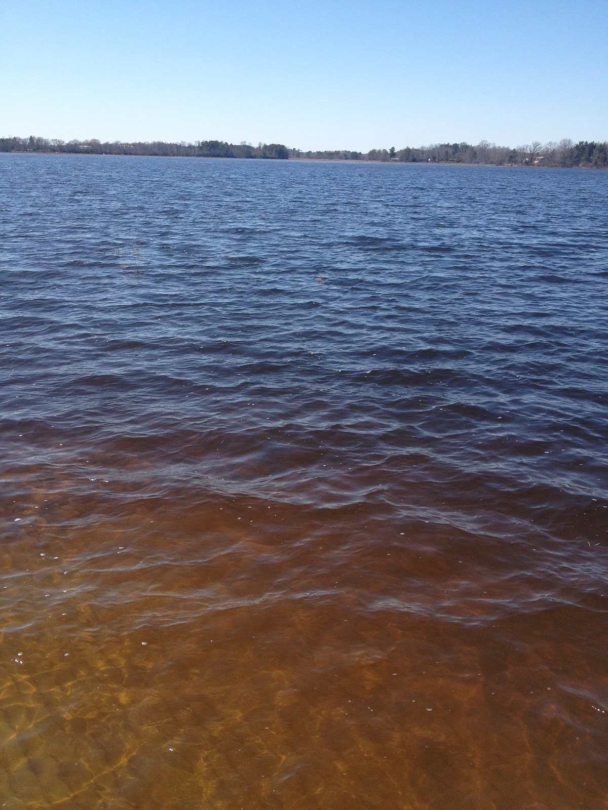 Lake Weyauwega Project April 2013