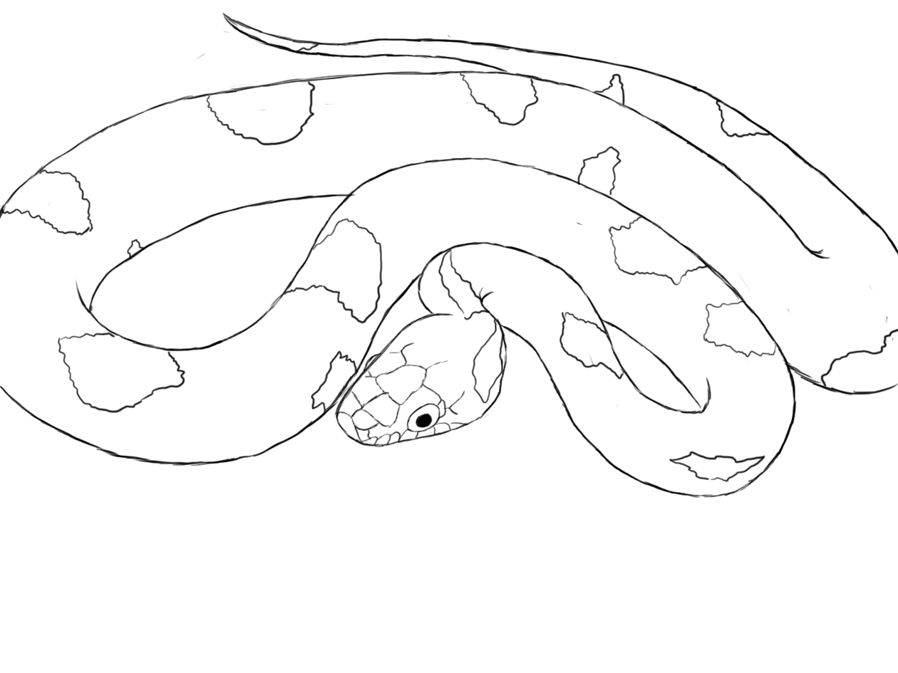 Featured image of post Snake Drawing Images Easy Snake drawing illustrations vectors