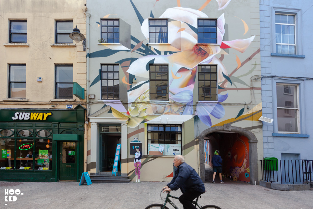 Street Artists transform Waterford City, mural by artist Curtis Hylton Street Artists transform Waterford City, mural by artist Curtis Hylton