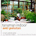 Tanaman Indoor Anti Polutan 