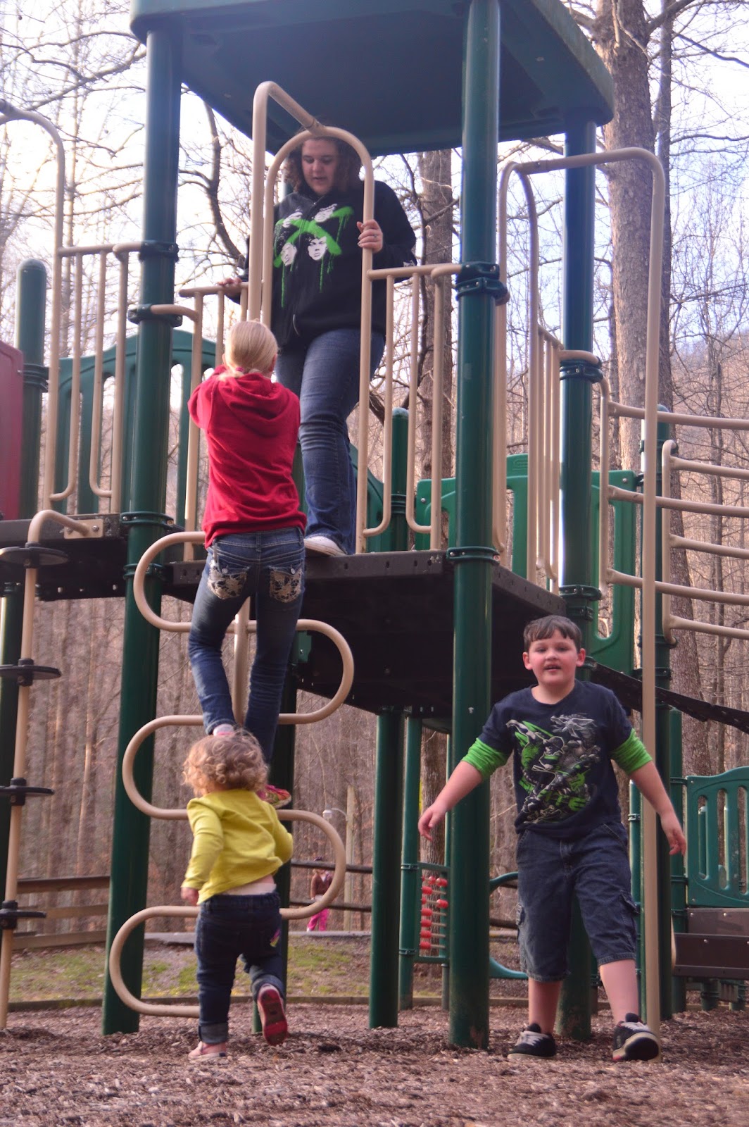 Trips 'n Toys Frozen Head State Park Wartburg, TN