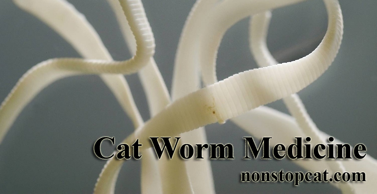 Cat Worm Medicine