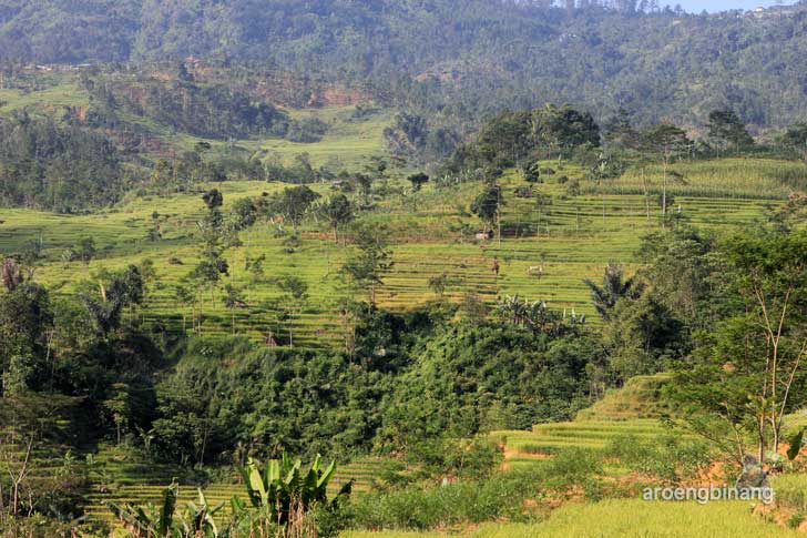 situs lingga yoni petungkriyono pekalongan