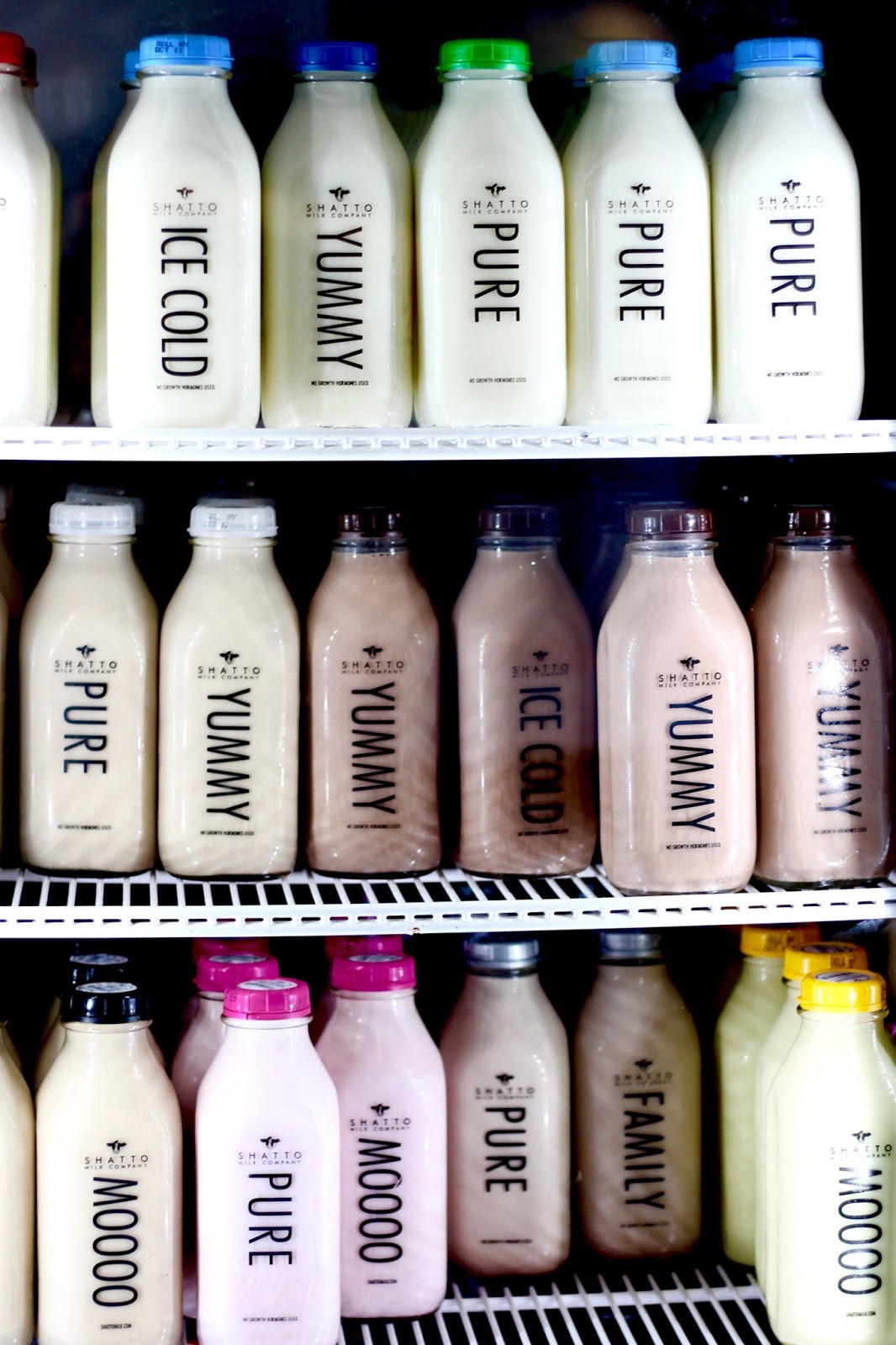 Wendy Correen Smith Our Day at Shatto Milk Farm