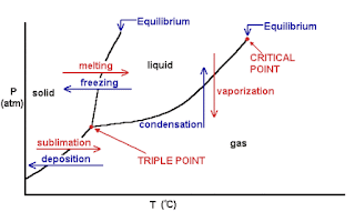 MacyAnderson'sBlog: Phase Change Diagrams
