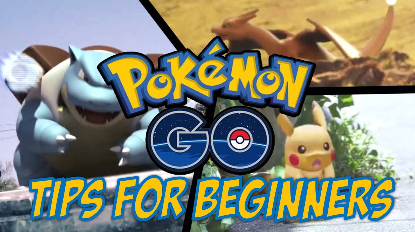 TRAINERS GUIDE HOW TO TRAIN AND EVOLVE YOUR POKEMON INTO LEAN MEAN