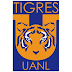 Tigres UANL 2018/2019 Players | Team Squad