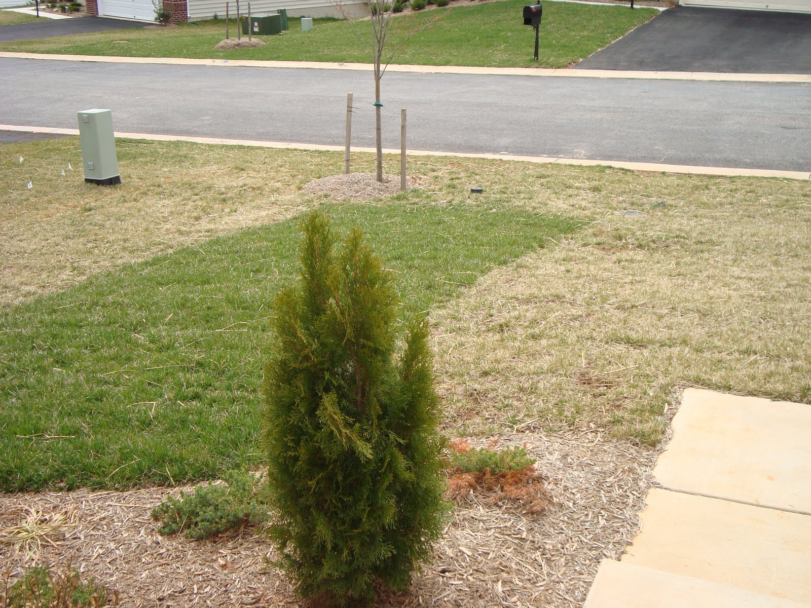 69th Street meets Harford Before & After TruGreen Update After 1.5 Weeks