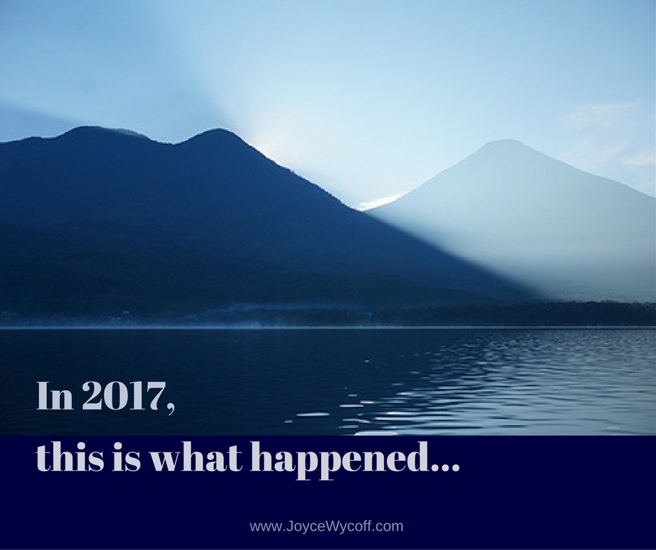 WHAT HAPPENED IN 2017 visual data 7