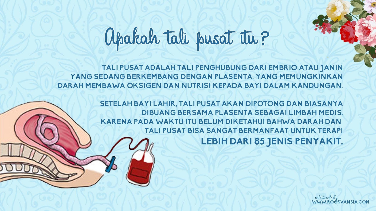 Sel Punca Stem Cell Si Penyelamat Jiwa Roosvansia