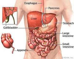 Ciri ciri penyakit liver
