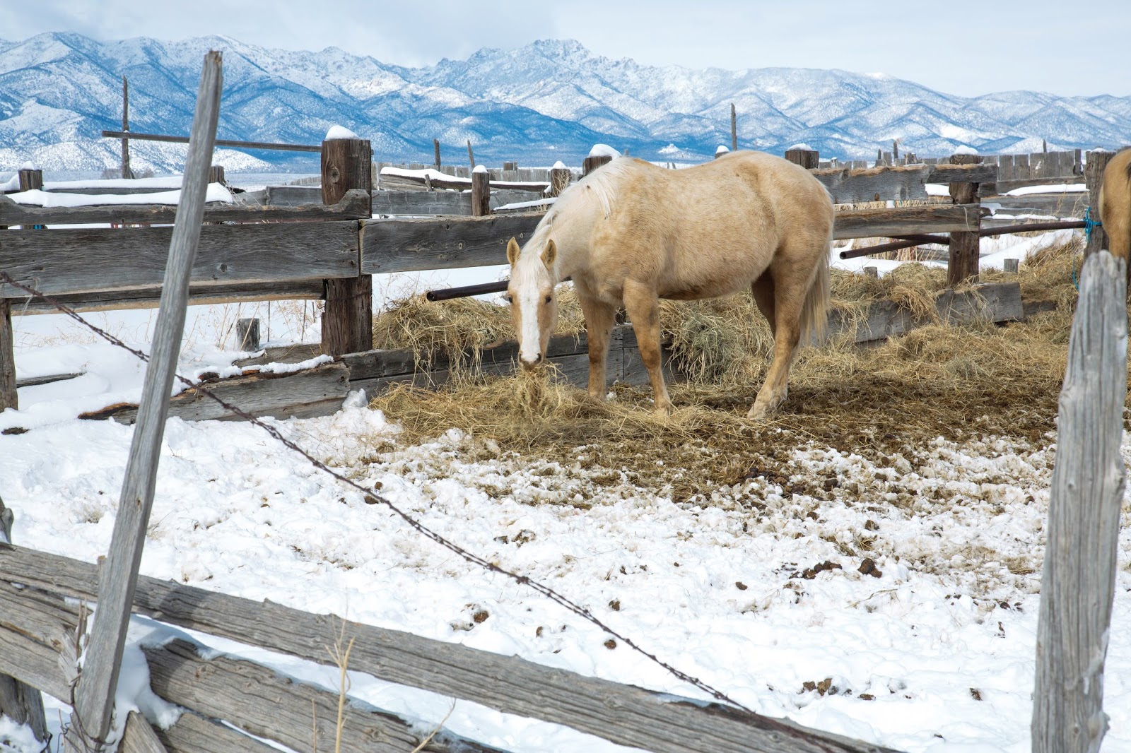 Lowe Family Blog Snow Day in Beaver, Utah