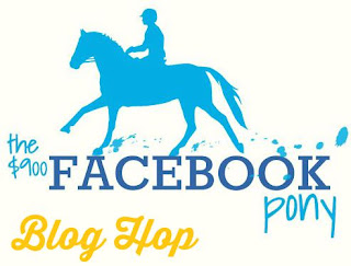 http://the900facebookpony.com/2015/11/11/blog-hop-top-5-horse-show-essentials/