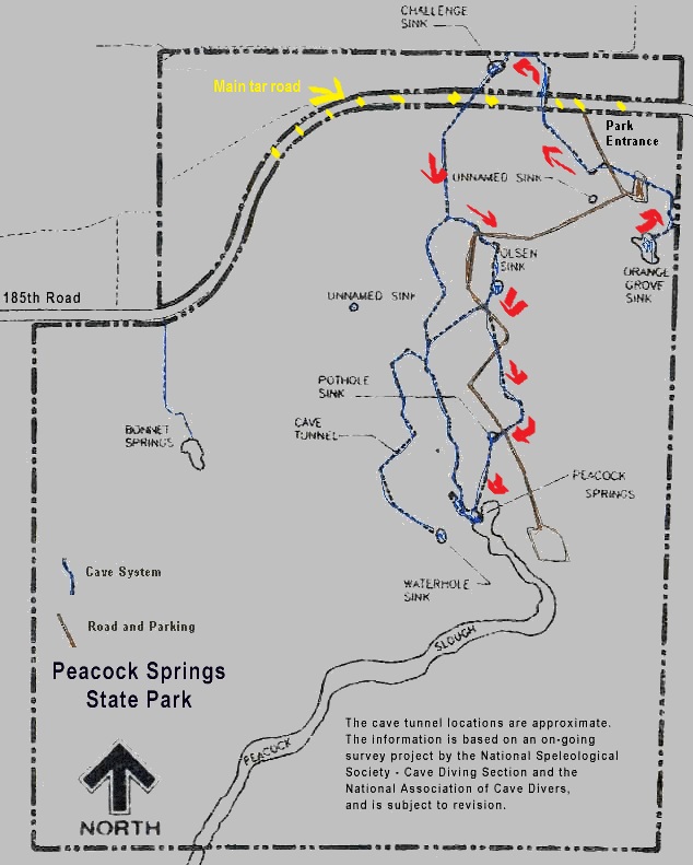States of Immersion A Florida Cave Diving Adventure The Grand