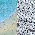 Um piloto tirou essas fotos de um avião. O que ele registrou é de tirar o fôlego