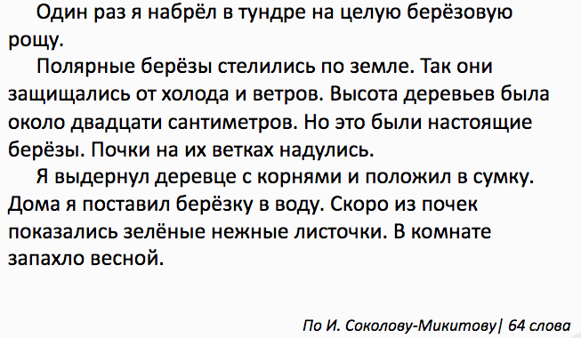 диктант березовая роща зимой