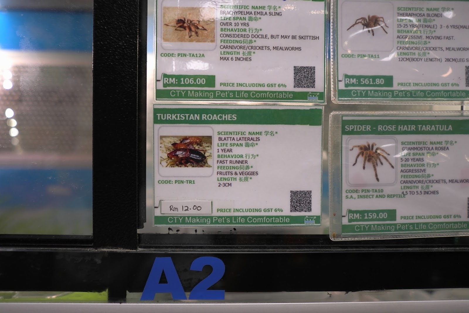 JE TunNel One of Top 10 largest Pet Shops in the World! CHEW THEAN