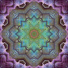 Reflections of a Sacred Dream
