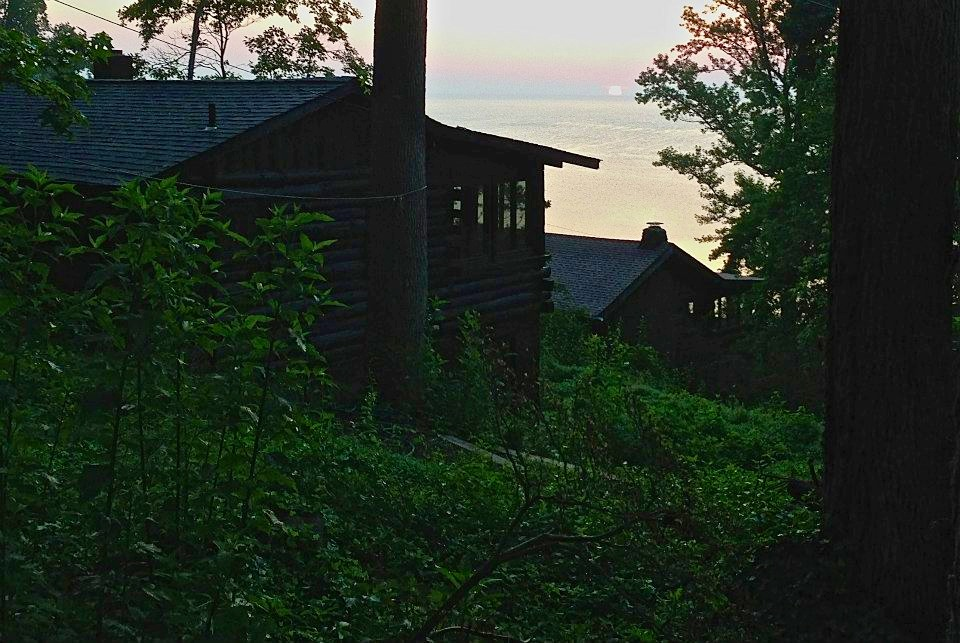 SOGNAPAROLE MAGAZINE Cercando fossili sulla spiaggia di Scientists