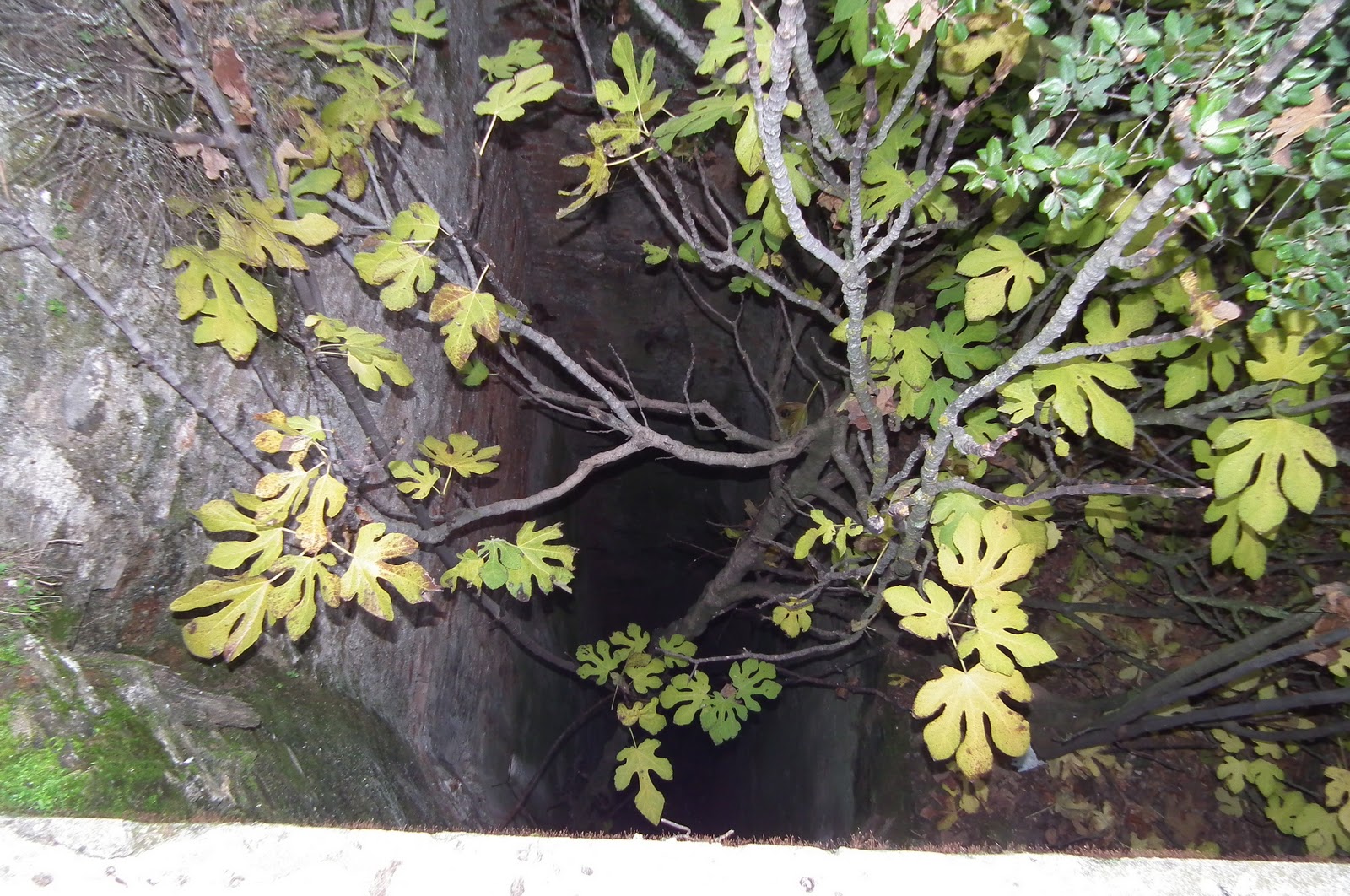 minerales mania: MINA DE LA PLATA