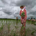 Pertanian Berantas Kemiskinan Indonesia