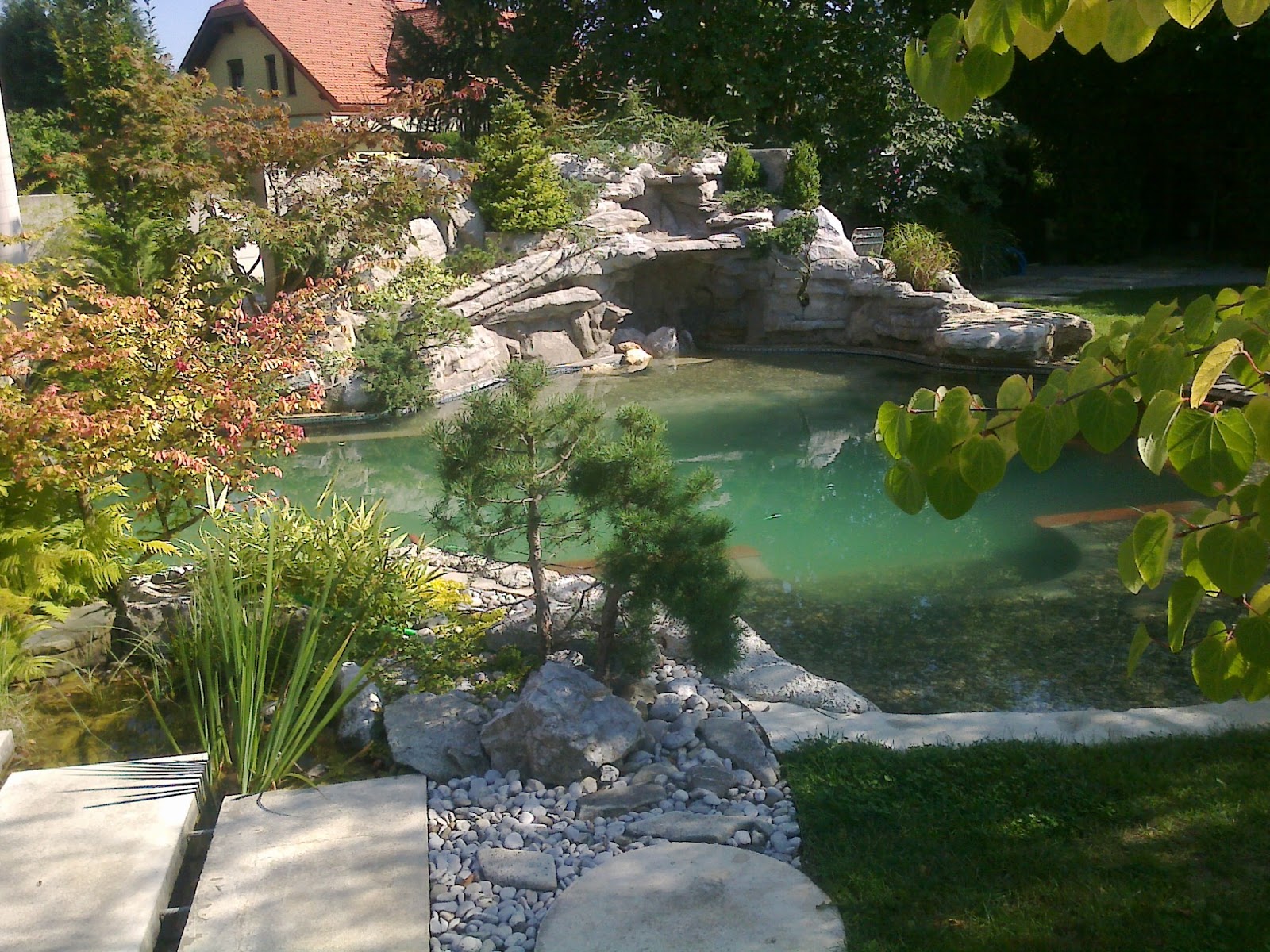 concreteart diy concrete waterfall and natural swiming pool