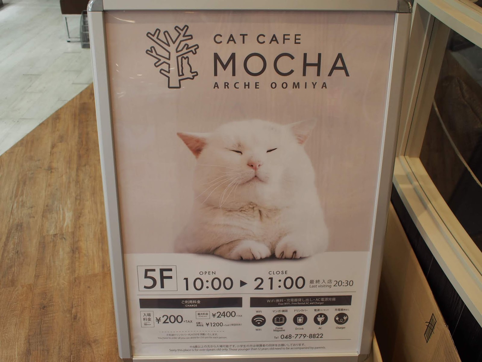 【開店】CAT CAFE MOCHA（モカ）アルシェ大宮店