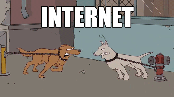 Internet Reality Dogs